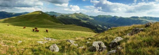 Plateau du Luchard, Cantal - Tirage photo