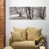 Arbres en hiver - Sur Dibond (en option)