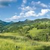 Vallée de La Jordanne, été, Cantal - Tirage photo