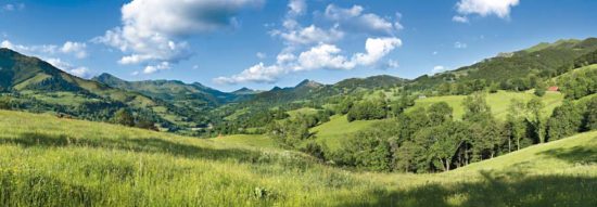 Vallée de La Jordanne, été, Cantal - Tirage photo