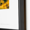 Cadre aluminium noir mat et plexiglas (en option)