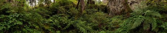 Nu dans les Tranchades, Cantal - Tirage photo