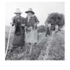 Bras dessus, bras dessous - Tirage photo