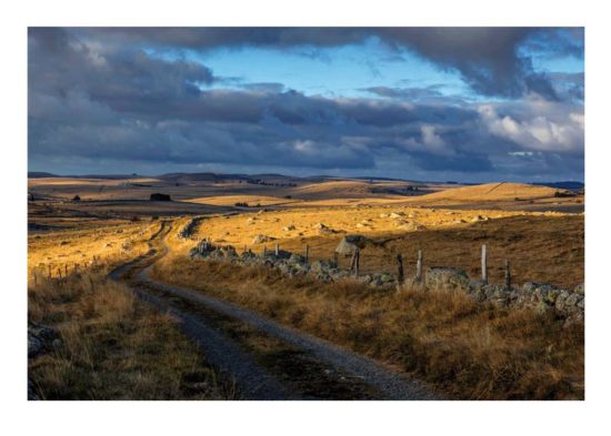 Chemin en Aubrac - Tirage photo