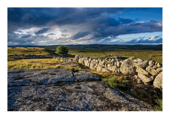 Mur de pierre, Aubrac - Tirage photo