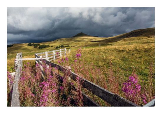 Chemin du puy Violent - Tirage photo