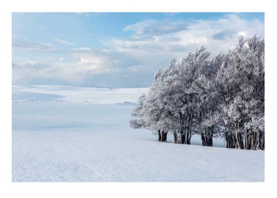 Montagne de Collandres, Cantal - Tirage photo