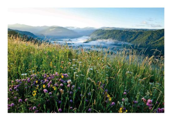 Brumes, Cantal - Tirage photo