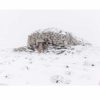 Buron de La Bohal, Cantal - Tirage photo