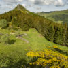 Puy d'Orset, Cantal - 150 x 52 cm