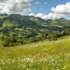 Vallée de Mandailles printemps - 150 x 52 cm